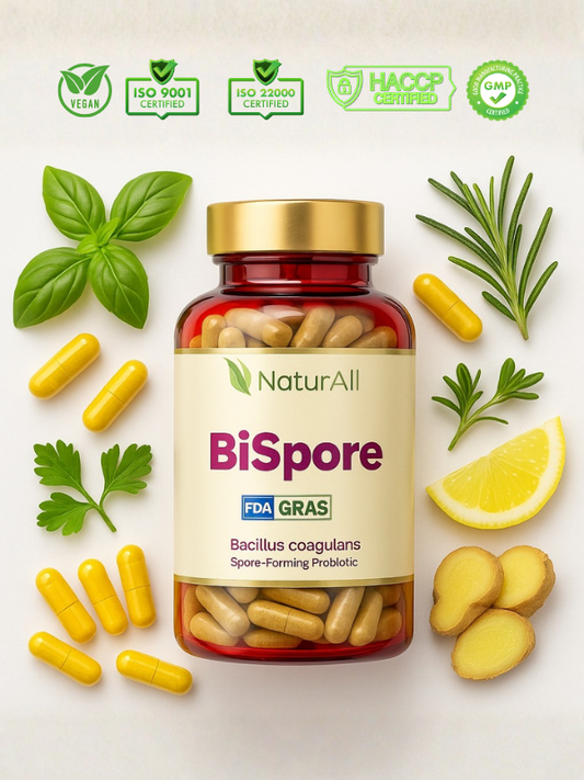 Bispore – Coagulans Probiyotik | 60 Bitkisel Kapsül